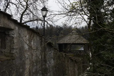 DSC_7053 (Large).JPG